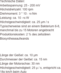 Technische Daten:
Arbeitsspannung: 25 - 200 mV
Höchstdrehzahl: 100 rpm
Drehmoment: 3 * 10 - 18 Nm 
Leistung: ca. 10 -16 W
Höchstgeschwindigkeit: ca. 25 µm / s
Typischerweise sind an einem Bakterium 6-8, manchmal bis zu 15 Motoren angebracht
Produktionskosten: 2 % des zellulären Biosyntheseaufwands



Länge der Geißel: ca. 10 µm
Durchmesser der Geißel: ca. 15 nm
Länge der Motorachse: 30 nm
Höchstgeschwindigkeit: 25 µ / s, entspricht ca.             18o km/h beim Auto

